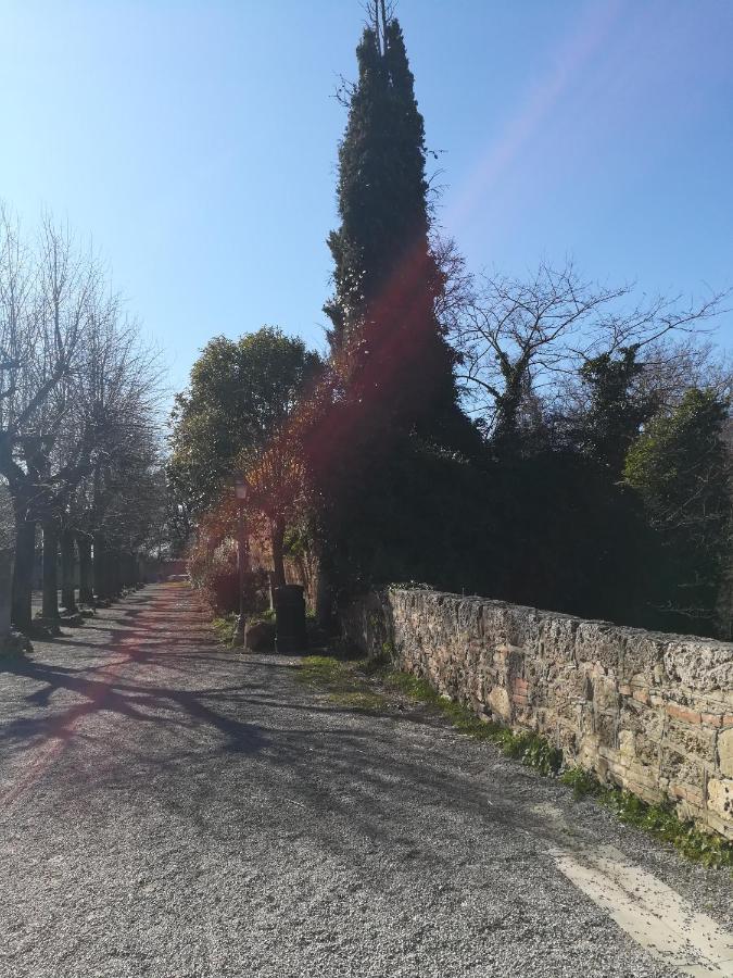 Ferienwohnung La Terrazza Chiusi Exterior foto